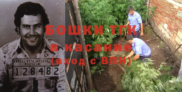 мдпв Михайлов