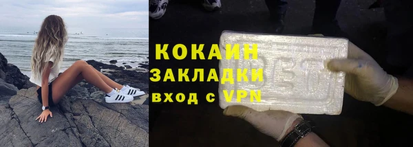 мдпв Михайлов