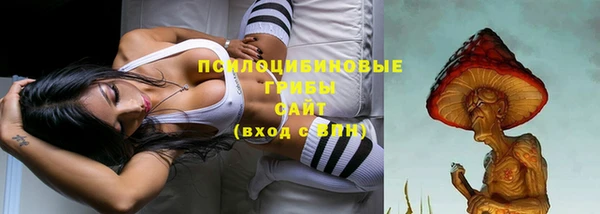 каннабис Михайловка