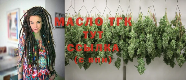 мдпв Михайлов