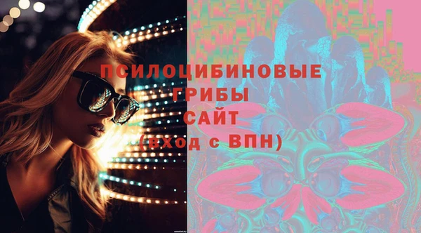 мдпв Михайлов