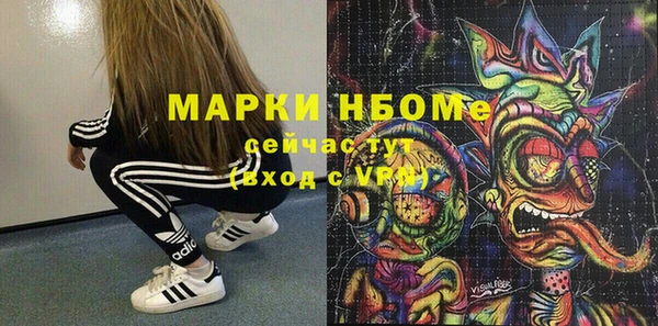 мдпв Михайлов
