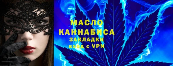мдпв Михайлов