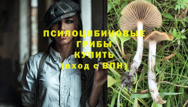 каннабис Михайловка