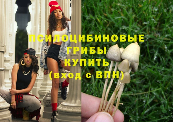 каннабис Михайловка