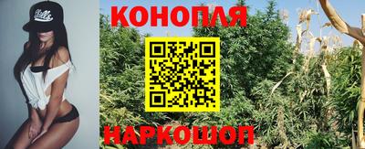 таблы Будённовск