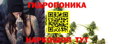 jwh Кинель