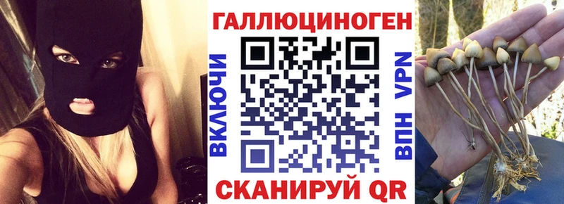 Псилоцибиновые грибы Cubensis  Кинешма 