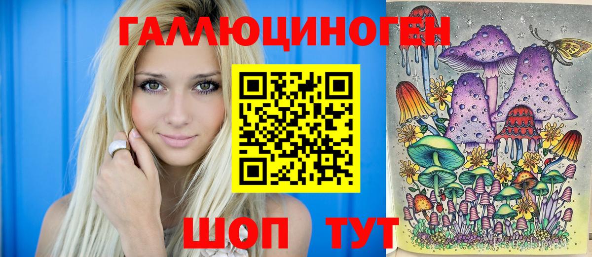 Галлюциногенные грибы Psilocybine cubensis  Кинешма 