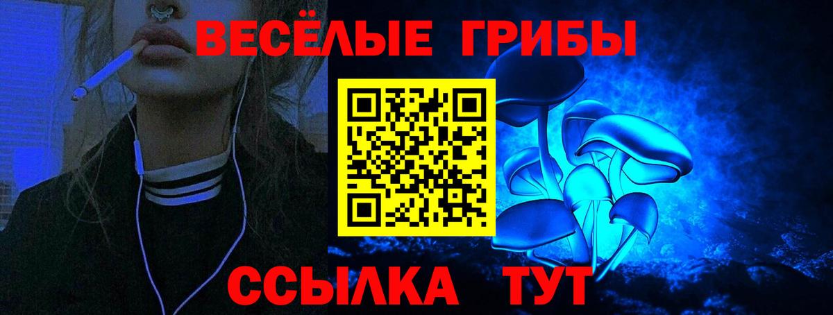 Галлюциногенные грибы Magic Shrooms Кинешма